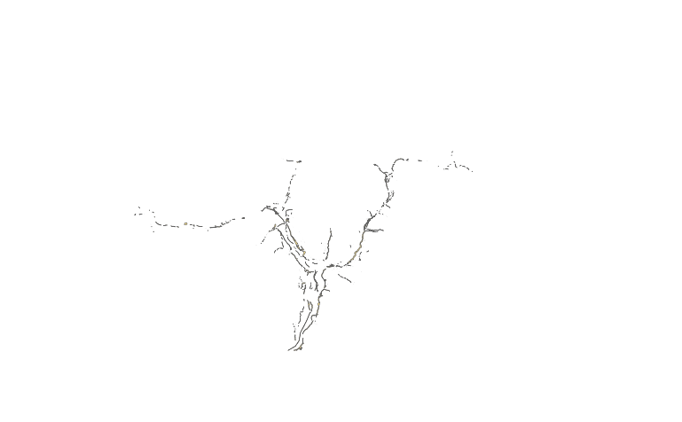 https://geoservices6.civis.bz.it/geoserver/p_bz-Forestry/ows?SERVICE=WMS&VERSION=1.1.1&REQUEST=GetMap&FORMAT=image/png&TRANSPARENT=true&LAYERS=NectariferousAreas-Robinia&exceptions=application/vnd.ogc.se_inimage&SRS=EPSG:25832&STYLES=&WIDTH=769&HEIGHT=476&BBOX=568665.6809273337,5097834.342663296,803217.3688715831,5243207.524253741